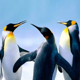 The Penguin simgesi